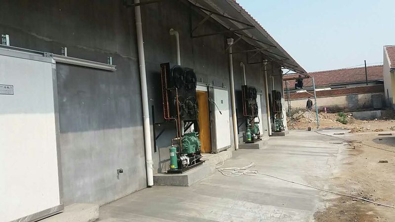 制冷报道龙口蔬菜冷库安装专注节能工程