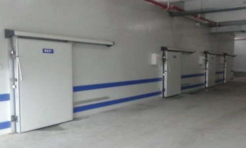 節能技術-佛山禪城區單凍機設備安裝有限公司