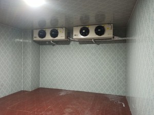  安庆大观区冷库安装节能设计-速风制冷
