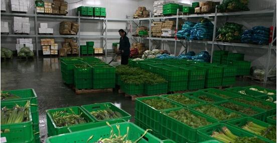 资阳区冷库安装公司不一样的节能技术