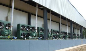  安庆大观区水产冷库安装