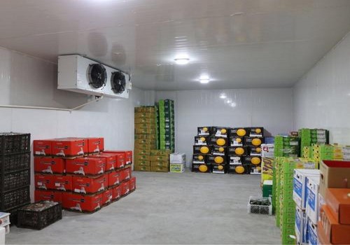 Focus on the construction of international refrigerated warehouses, freezer rooms, aquatic products